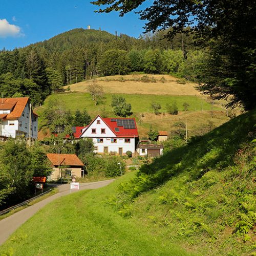 Geschützte Lage im hinteren Maisachtal im Schwarzwald
